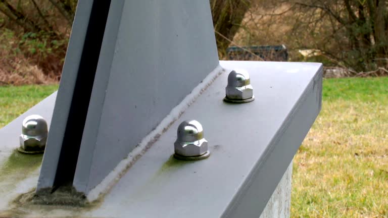 Trusted Warm Mineral Springs, FL Mold Removal Experts